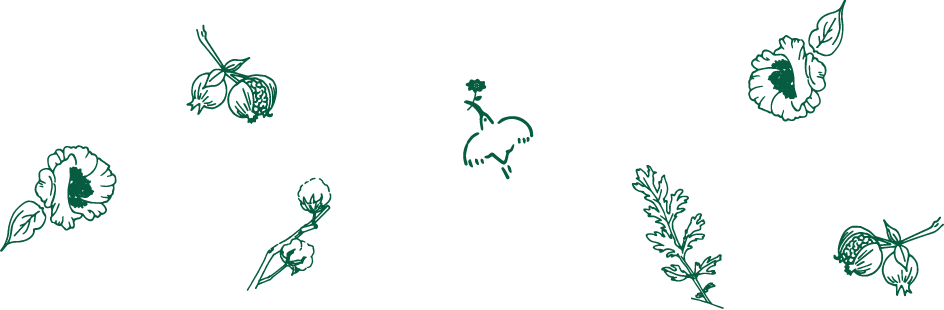 実績事例 ILLUSTRATION